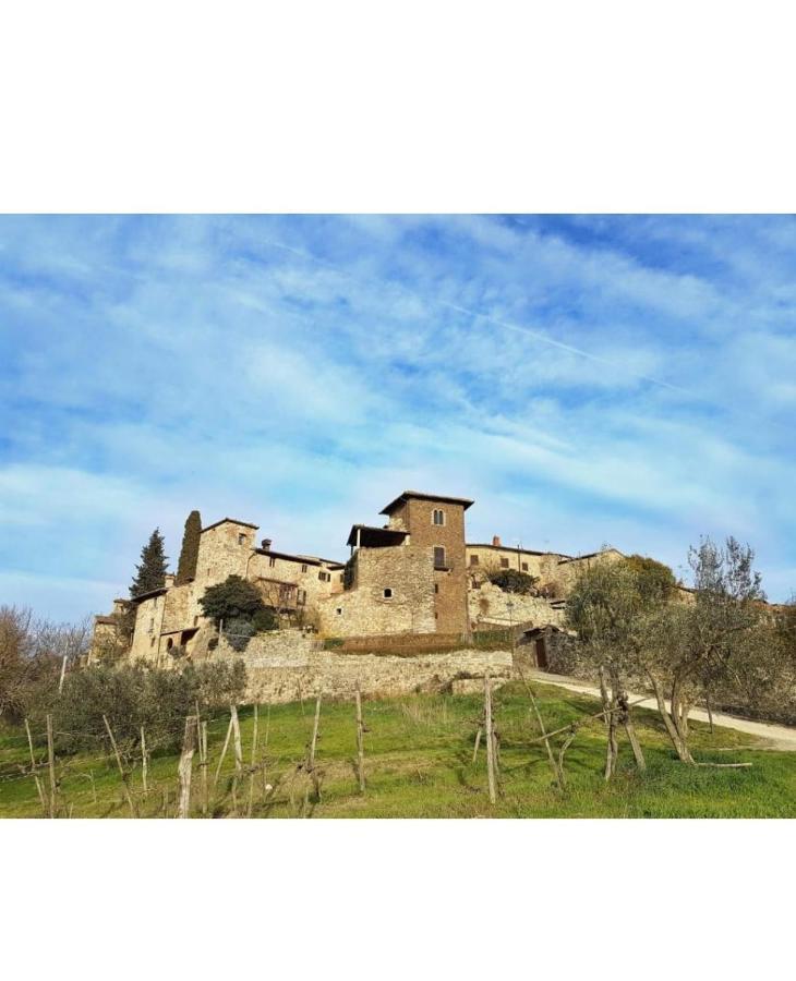 Iris Nel Borgo Lejlighed Greve in Chianti Eksteriør billede