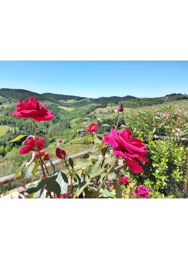Iris Nel Borgo Lejlighed Greve in Chianti Eksteriør billede